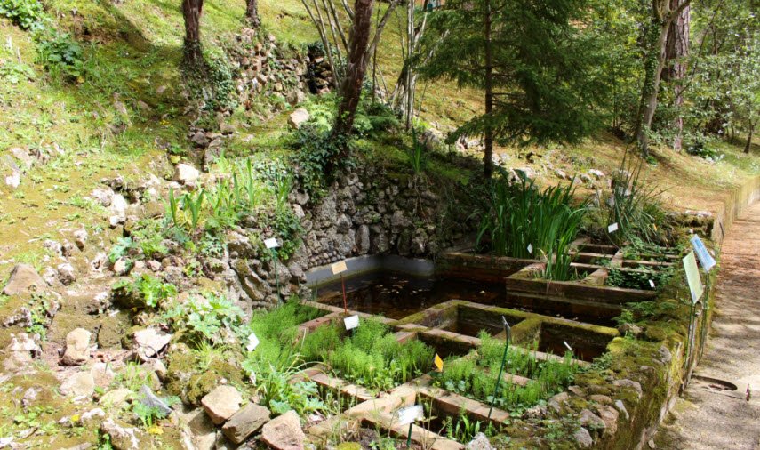 Orto Botanico dell'Università di Siena, Siena, Italy, Italy